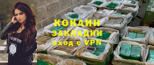 твердый Осинники