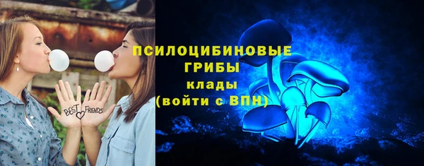 твердый Осинники