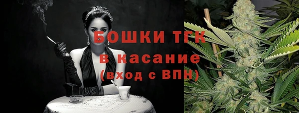 твердый Осинники