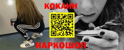 крисы Камышлов