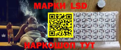крисы Камышлов
