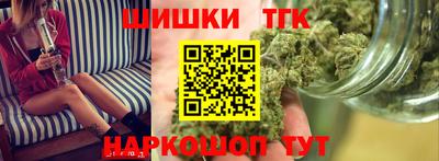 крисы Камышлов