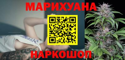 крисы Камышлов