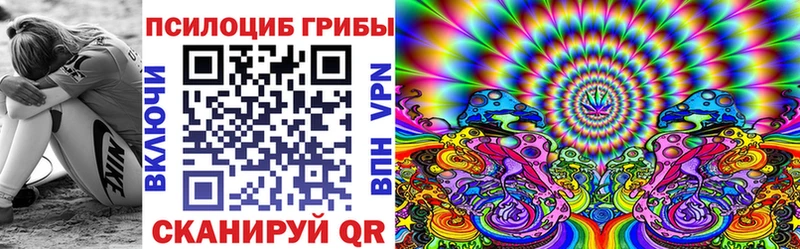 наркошоп  Свободный  Псилоцибиновые грибы ЛСД 