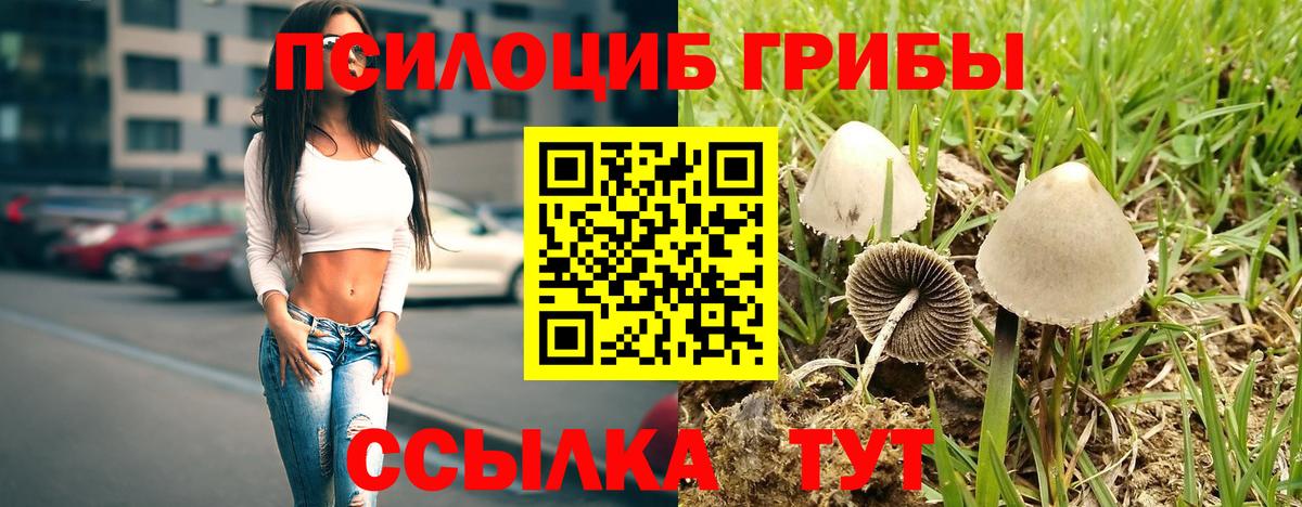 Псилоцибиновые грибы MAGIC MUSHROOMS Свободный