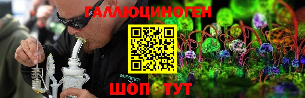 даркнет сайт  Галлюциногенные грибы прущие грибы  Свободный  Вход с VPN  Галлюциногенные грибы Psilocybine cubensis 